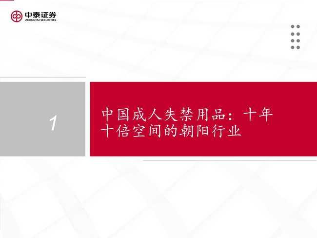 国产37页,深度解析我国科技发展的新篇章